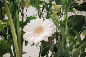 veldboeket met witte kleuren