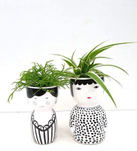 Schattige madammekes met leuke kamerplantjes