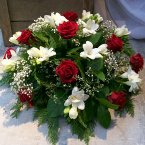 Rozenbol freesia