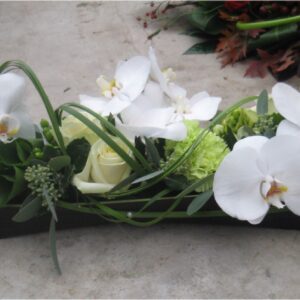 Orchideebroodje