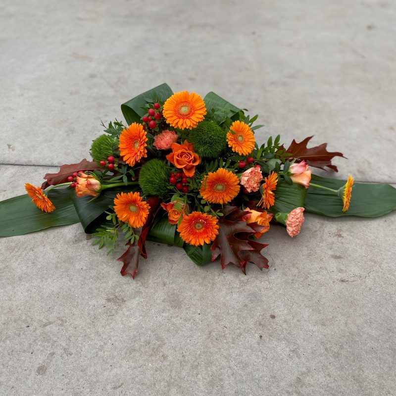 germini driehoek oranje 2