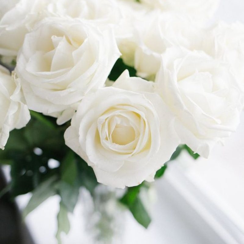 witte roos webshop